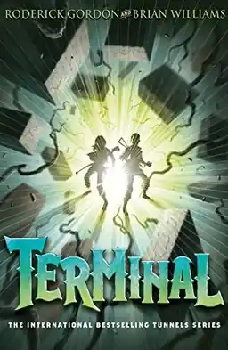 Terminal